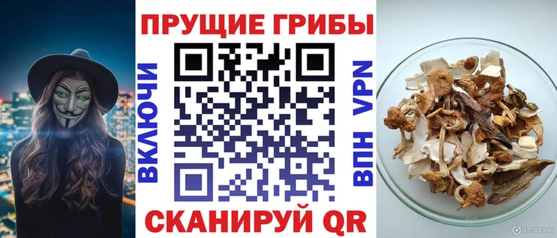Галлюциногенные грибы MAGIC MUSHROOMS Печора